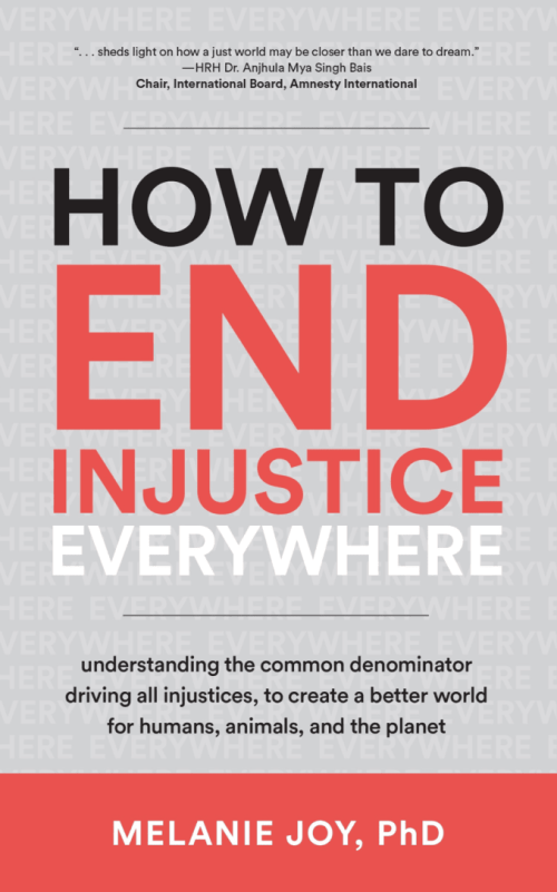 How To End Injustice Everywhere book cover